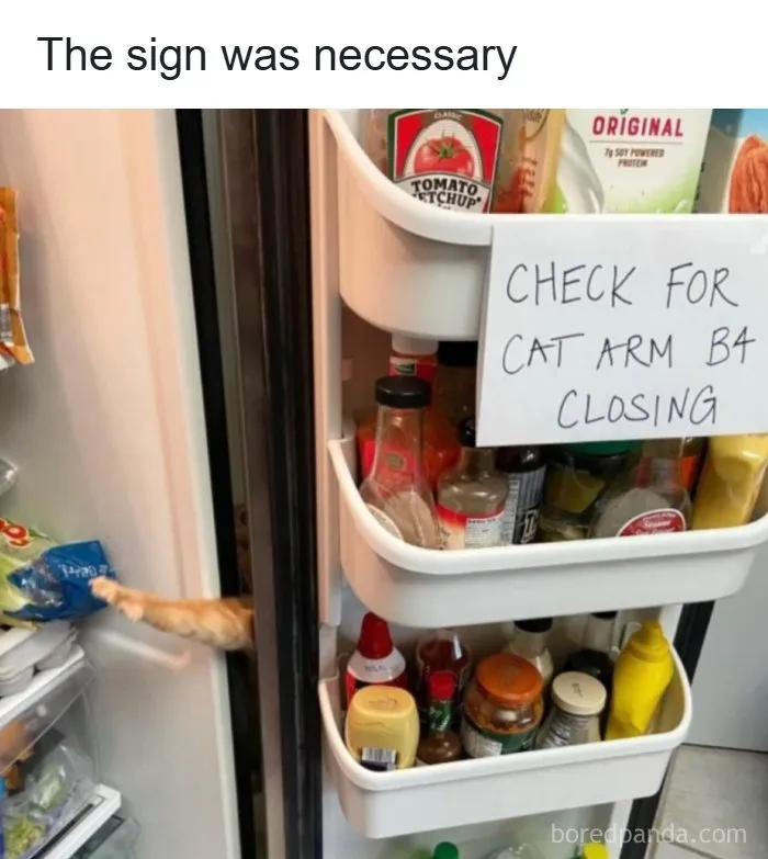 60 Memes For Anyone Who's Ever Sighed Audibly At Absolutely Nothing