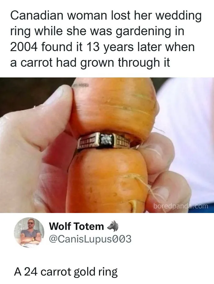 48 “Gems Of Replies” Spotted Around The Internet That Might Make You Laugh More Than You Should (New Posts)