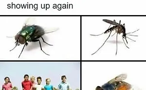 134 Memes That Make A Strong Case For Animals Being The Funniest Part Of The Internet