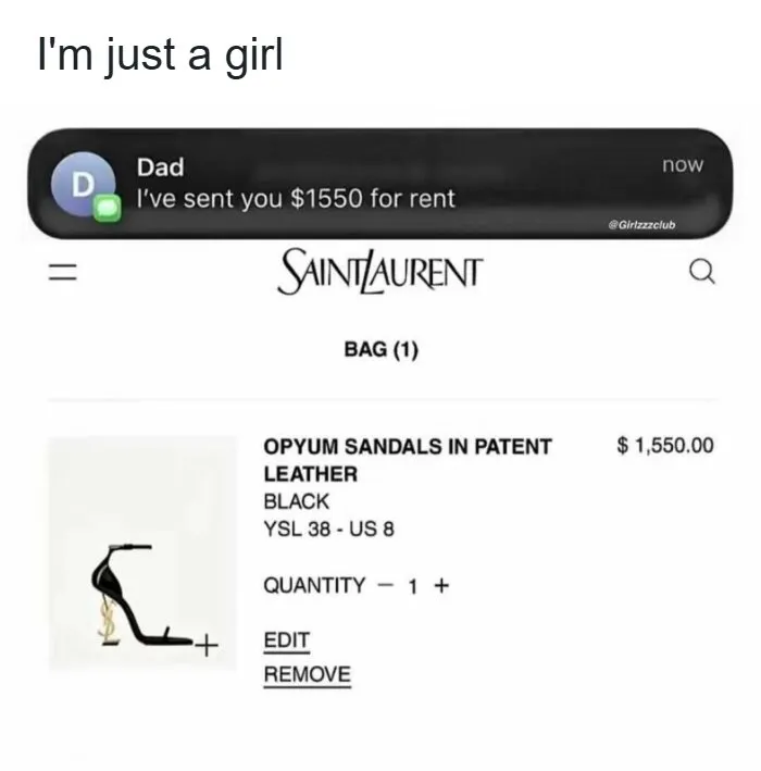 A screenshot showing rent money spent on designer shoes, showing funny memes about being a woman