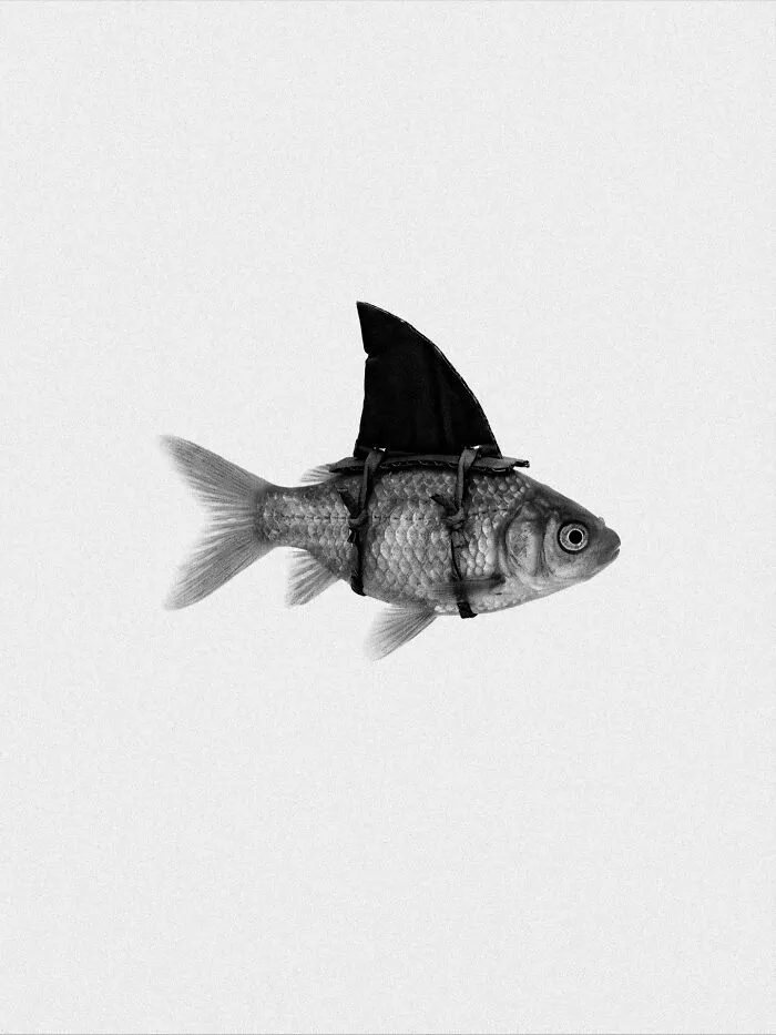 33 Visually Striking And Thought-Provoking Compositions By Marcus Wallinder