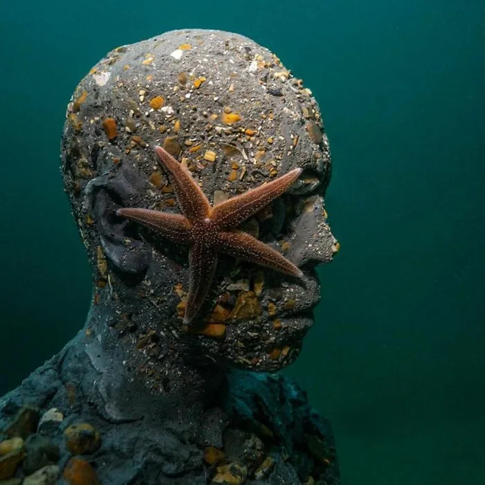 For 20 Years, This Artist Has Been Placing Stunning Sculptures Beneath The Ocean That Support Marine Life (20 New Pics)