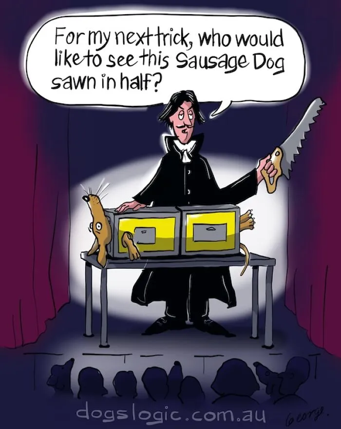 A Dog Logic comic strip showing a magician about to perform a sawing trick on a worried sausage dog.
