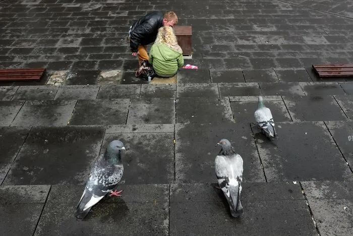 Jeffrey De Keyser's street photography captures pigeons on wet pavement while a couple sits in the background.