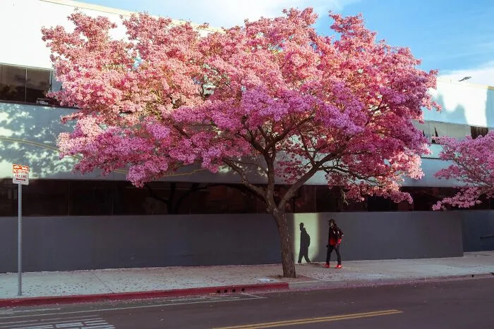 This Photographer Spots Visual Coincidences Most People Would Walk Right Past (61 Pics)