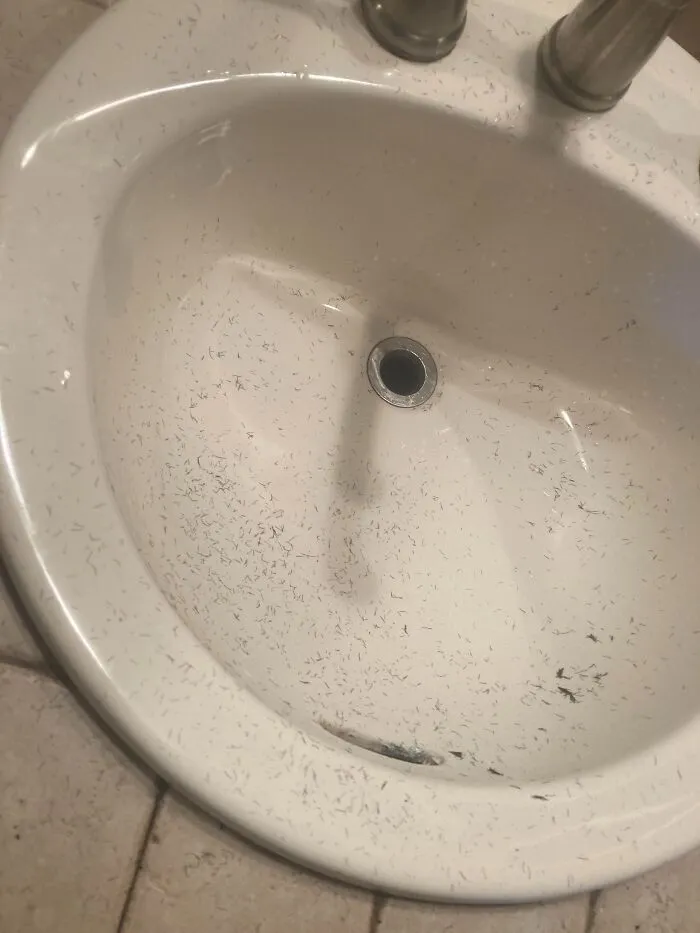 Messy sink full of shaved beard trimmings showcasing the audacity some men bring