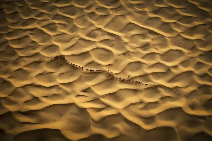 In Search Of Water