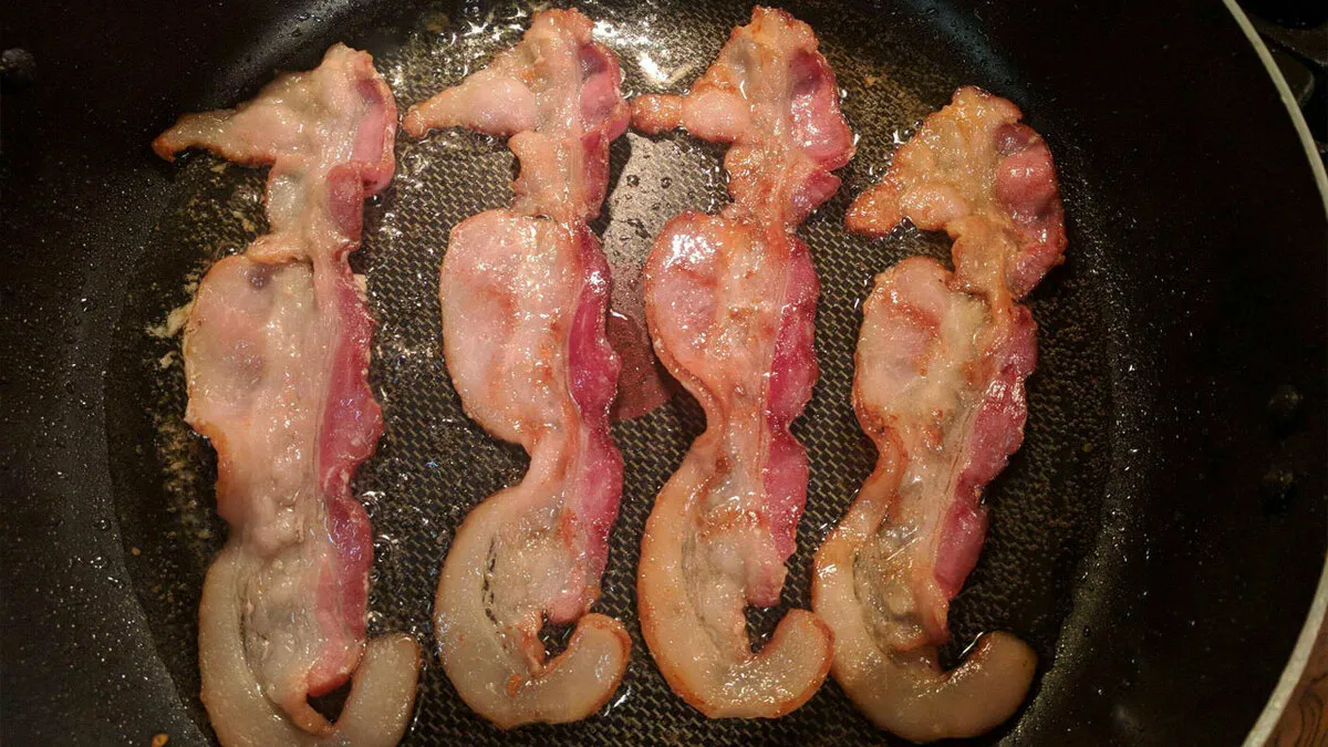 100 Photos People Are Glad They Took, As Nobody Would’ve Believed Their Word 