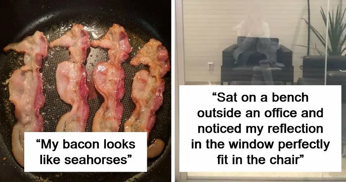 100 Extremely Unlikely Moments That People Somehow Managed To Capture