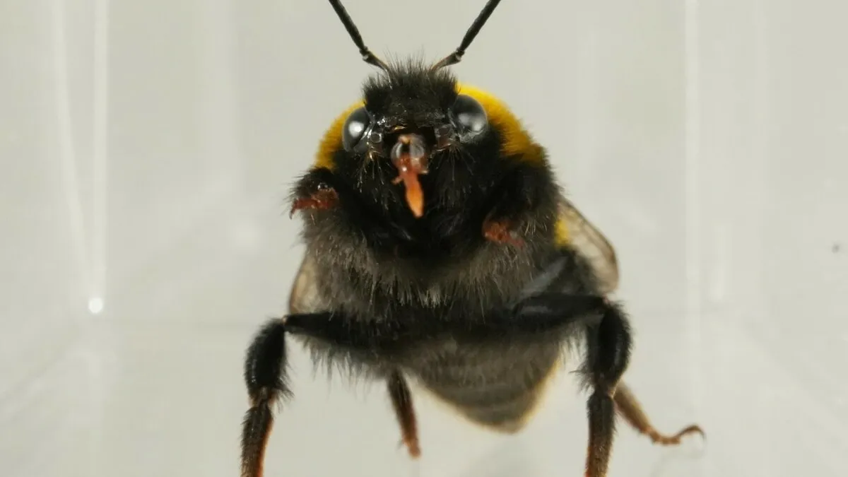 50 Random Animal Facts That Are So Fascinating You Might Lose Track Of Time Reading Them All (New Pics)