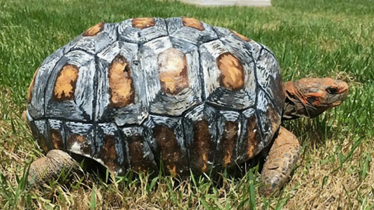 60 Times People Used 3D Printers And Created Some Brilliant Stuff