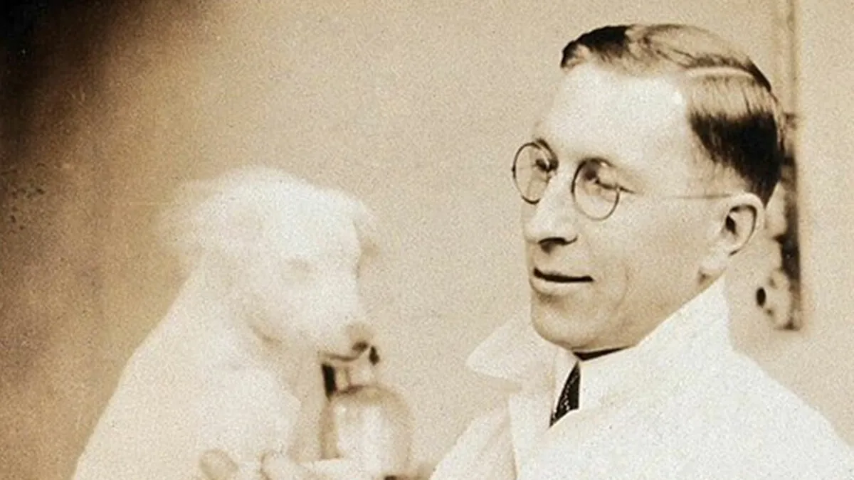 Interesting Things About Medicine That The Layperson Doesn’t Know About (40 Examples)