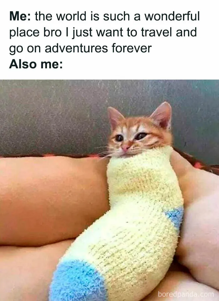 Hilarious memes for introverts featuring a small orange kitten tightly wrapped inside a cozy sock