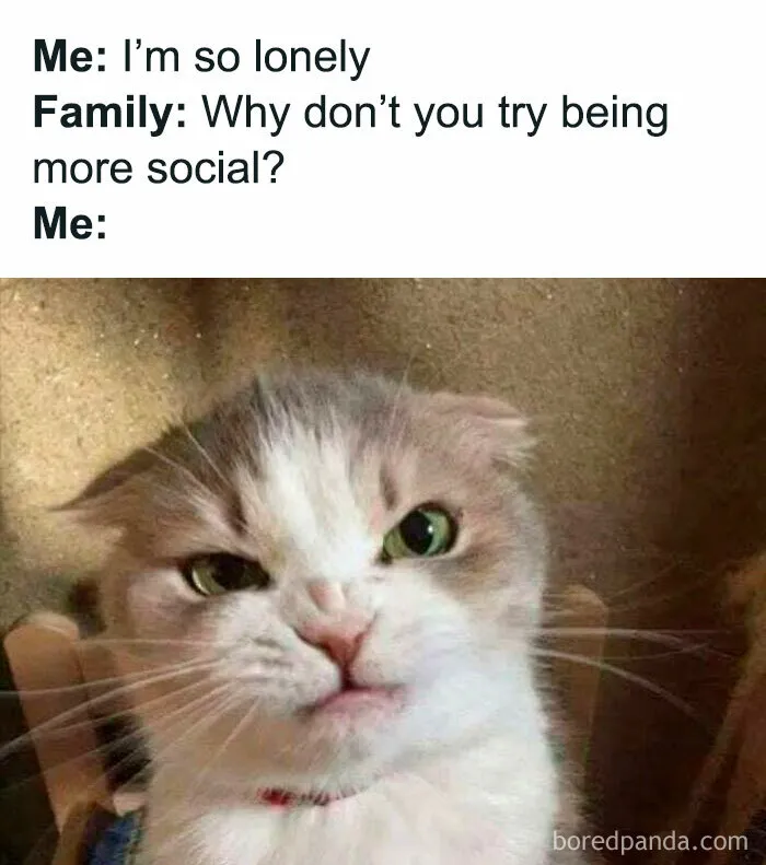 Grumpy cat looking annoyed representing relatable memes for introverts being told to be social.