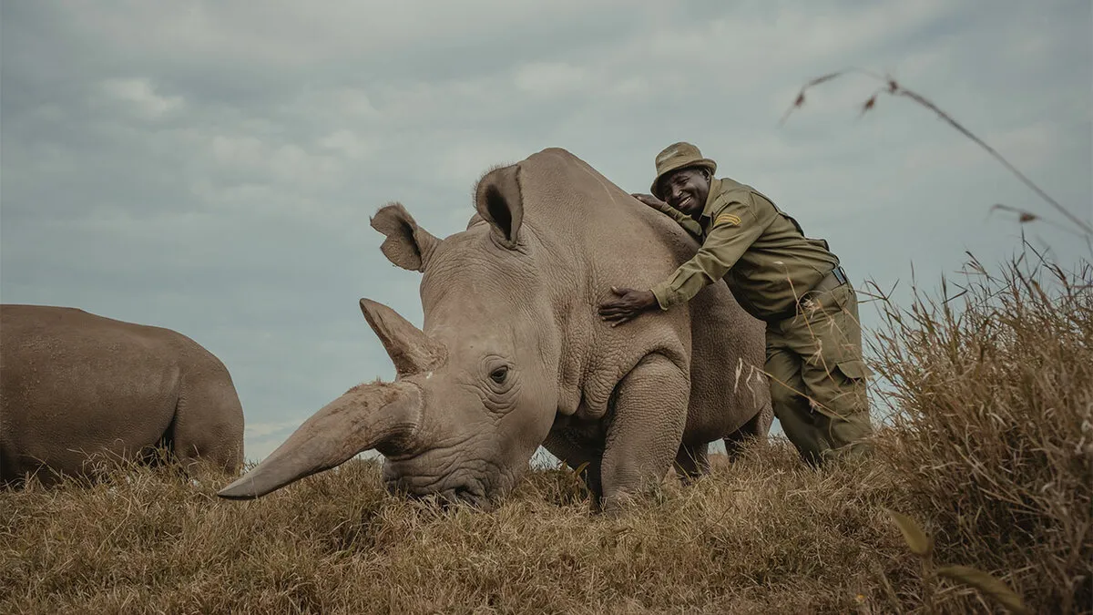 18 Powerful Photos By Mital Patel Showcasing The Last 2 Northern White Rhinos And Their Dedicated Caretakers