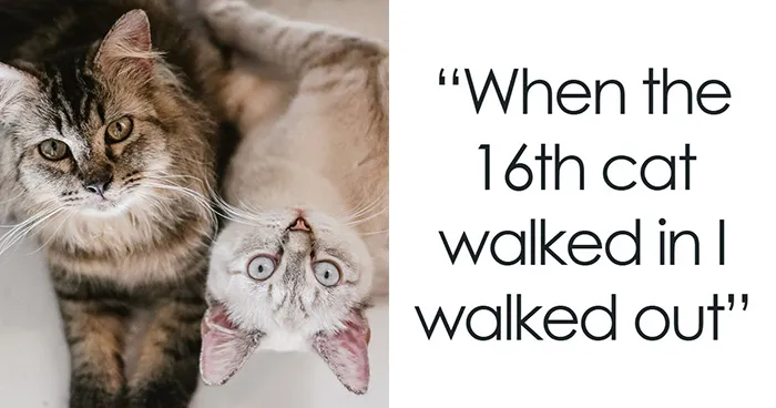 “People Who Got Divorced At 25 Plus Years Of Marriage, What Was The Final Straw?” (51 Answers)