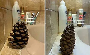 116 “Mildly Interesting” Things That You May Have Never Seen Before (New Pics)
