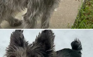 116 “Mildly Interesting” Things That You May Have Never Seen Before (New Pics)