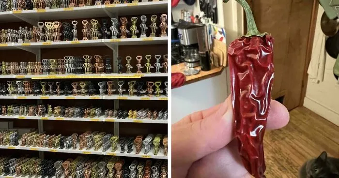 116 Mildly Interesting Pictures That Make You Say ‘Huh’ And Then Scroll To The Next Photo (New Pics)