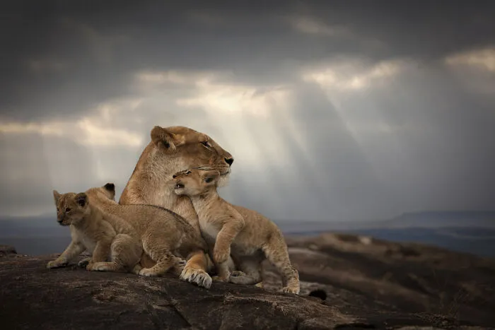 Mother