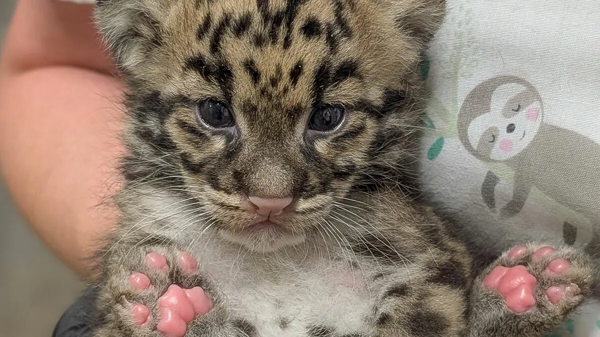 Rare Animals Could Soon Be Living Next To A Massive AI Data Center, So This Zoo Is Drawing The Line