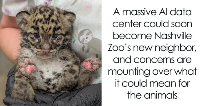 Rare Animals Could Soon Be Living Next To A Massive AI Data Center, So This Zoo Is Drawing The Line