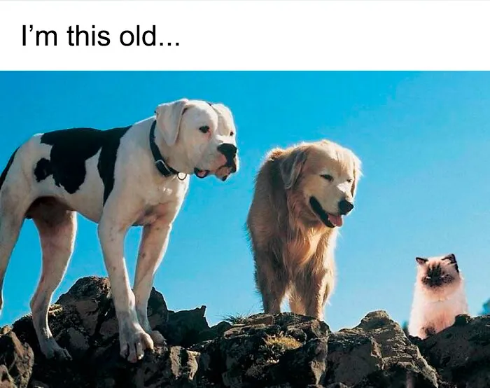 78 Posts About Life In The ’90s That Might Make You Feel Like You’ve Traveled Back In Time