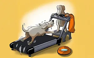 ‘Dog Logic’: Artist Imagines The World From A Dog’s Point Of View In 20 Hilarious Comics