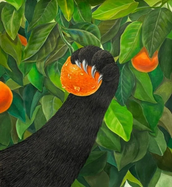 Orange Huntness