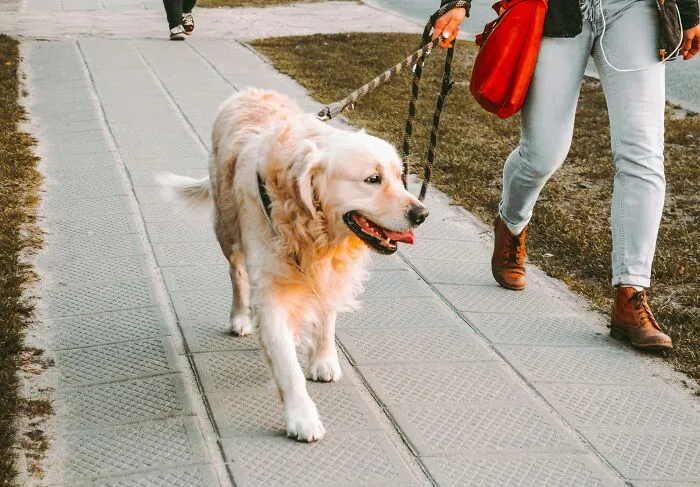 47 Times People Trusted Their Inner Voice Saying "We Need To Leave Now" As It Was Too Loud To Ignore