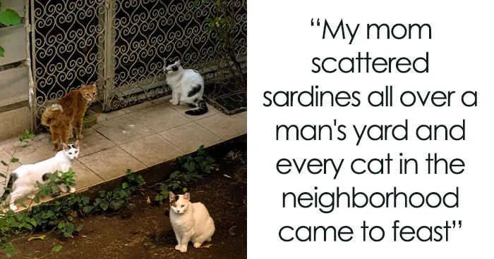 “My Irish Temper Got The Best Of Me”: 60 Times Petty People Gave Their Exes Exactly What They Deserved
