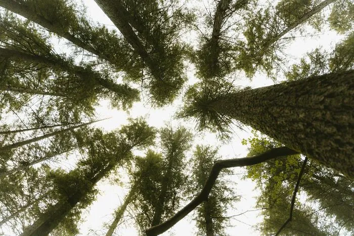 74 Baffling Paradoxes That Look "Simple," But Might Challenge Your Perception Of Things