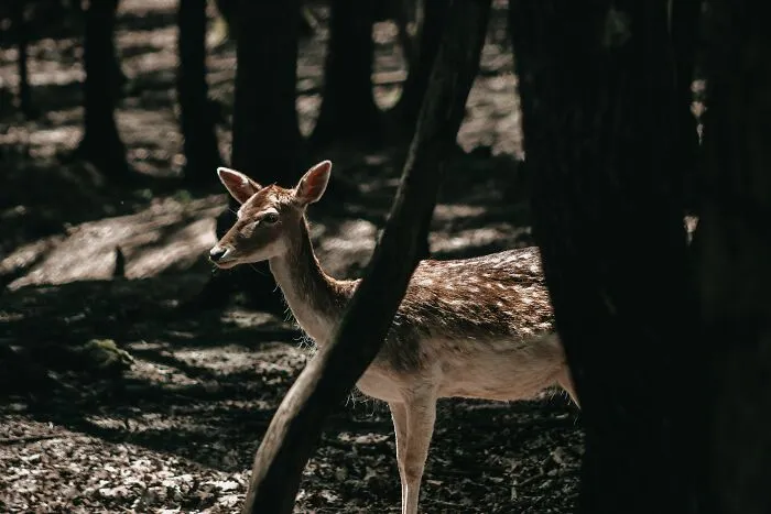 45 Unsettling Facts About Humans And The Universe That Might Keep You Up At Night