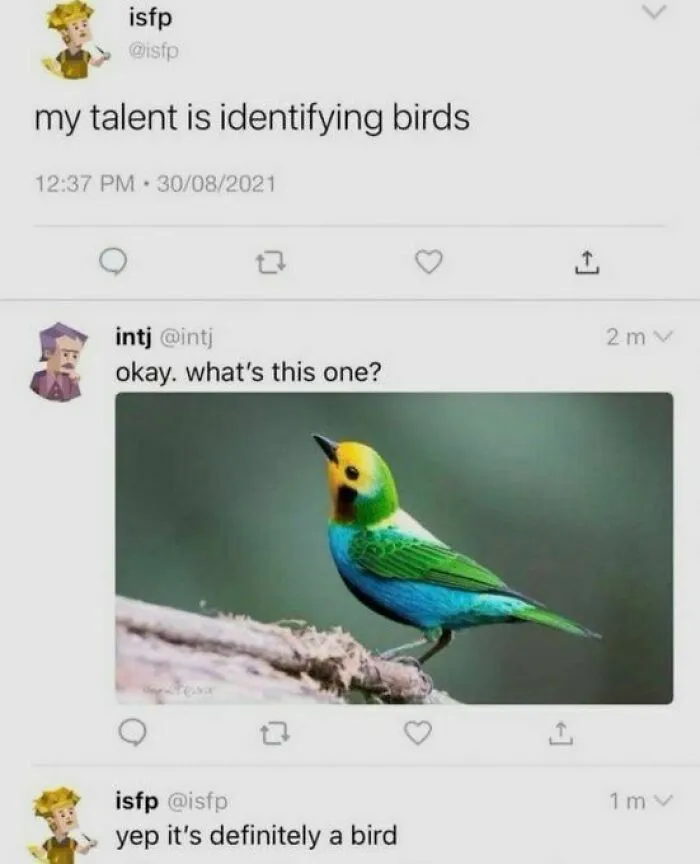 A Twitter thread about identifying birds, one of many hilarious memes.