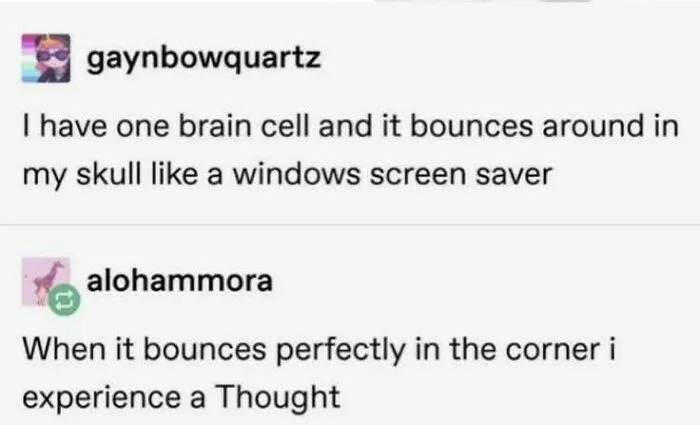 Hilarious memes about only having one brain cell like a Windows screen saver.