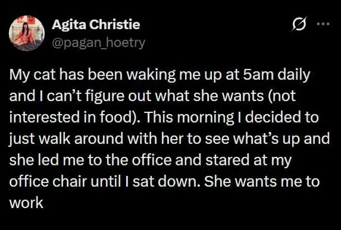 A funny post from hilariously edgy memes showing a tweet about a cat waking its owner up at 5 am to make them work
