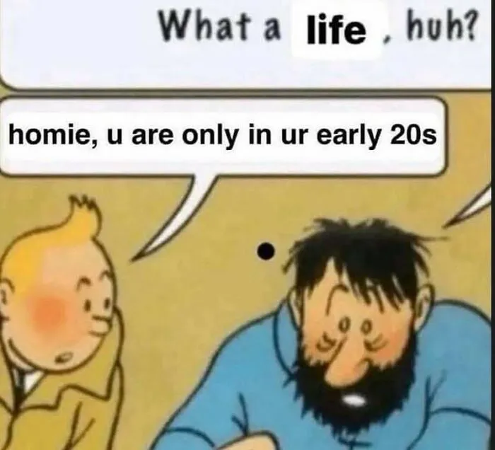 Hilarious memes with Tintin characters joking about being tired in their early 20s.