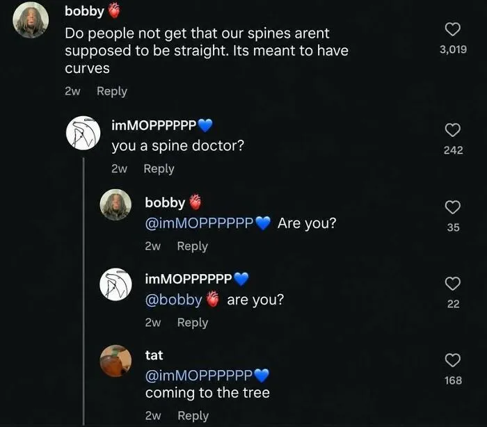 One of the hilarious memes featuring a funny online comment argument about human spines and doctor credentials.