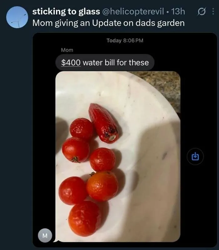 Hilarious memes featuring a message about a 400 dollar water bill for a tiny harvest.