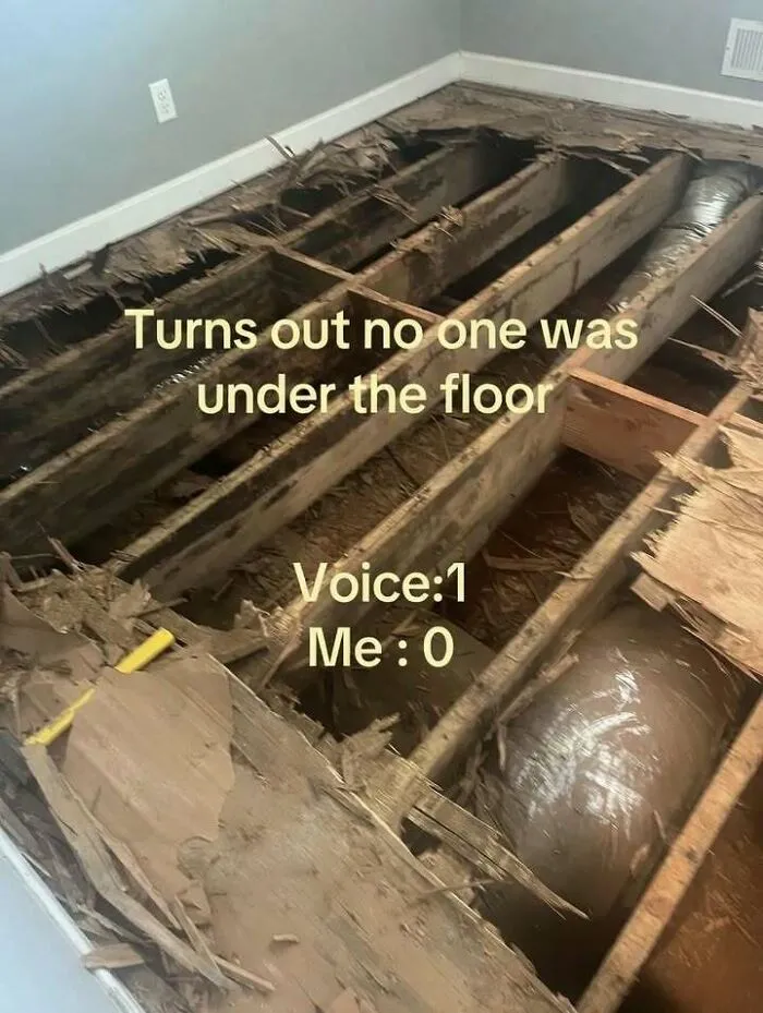 Edgy memes style image showing a severely damaged wooden subfloor with text about listening to the voices.