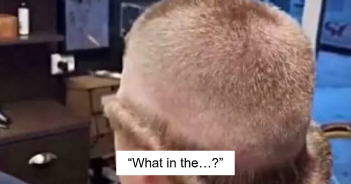 All It Took Was One Bad Hair Day For These 77 People To Go Viral On The Internet