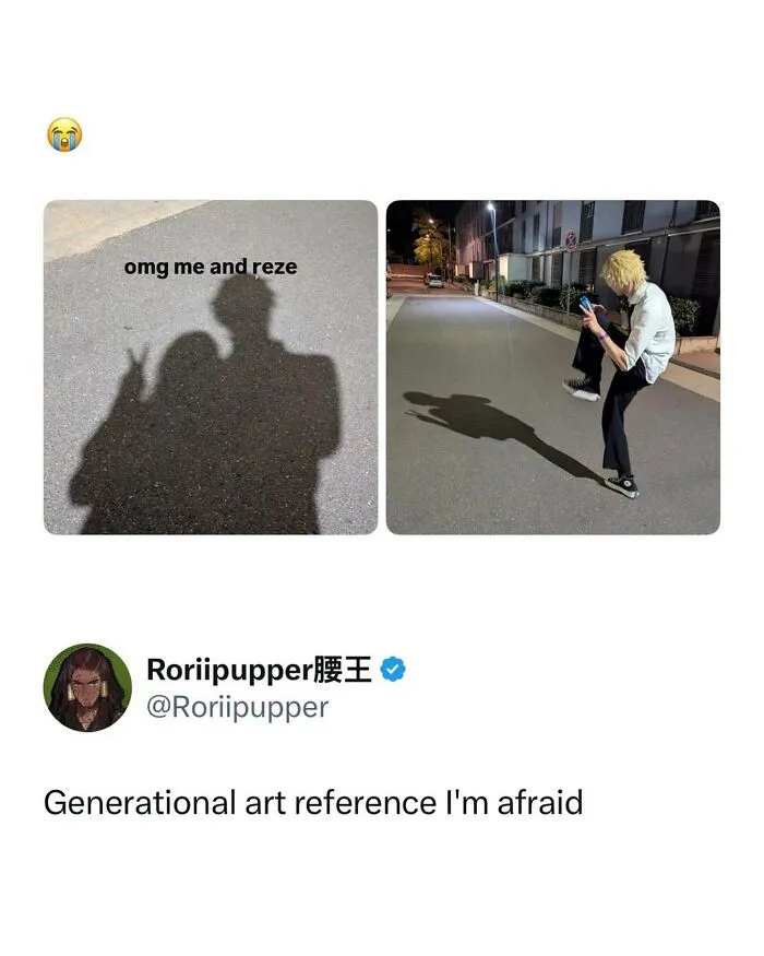 Shadow art reference with person and anime-style shadow on street as funny meme