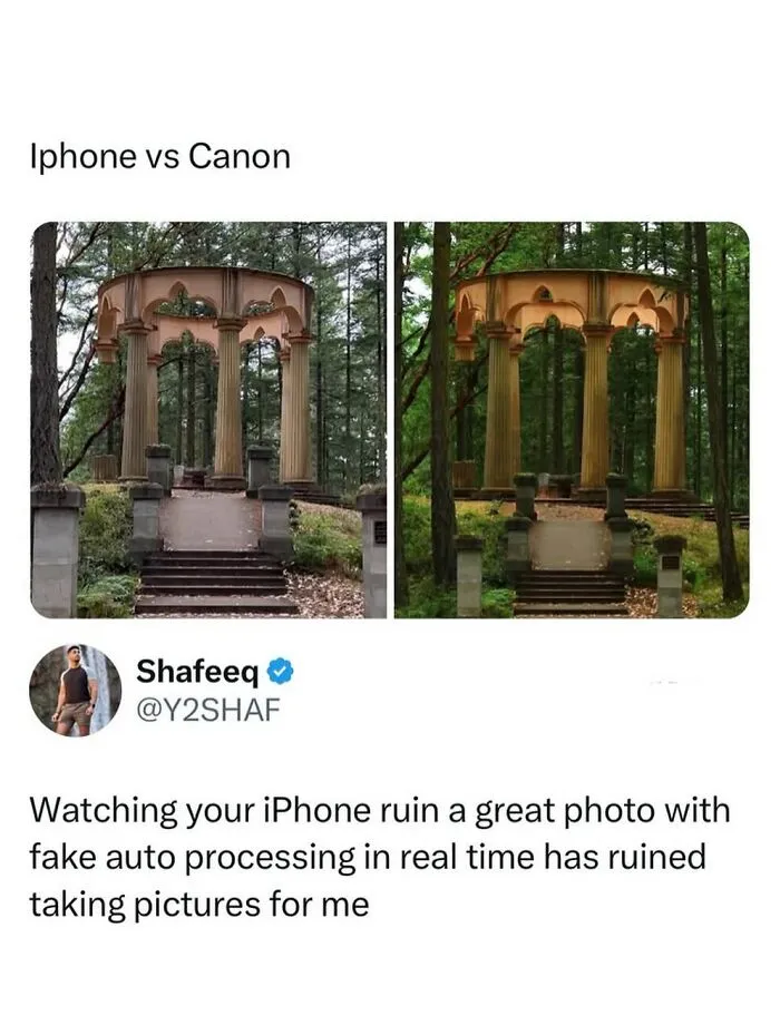 Comparison photo meme of iPhone vs Canon camera quality