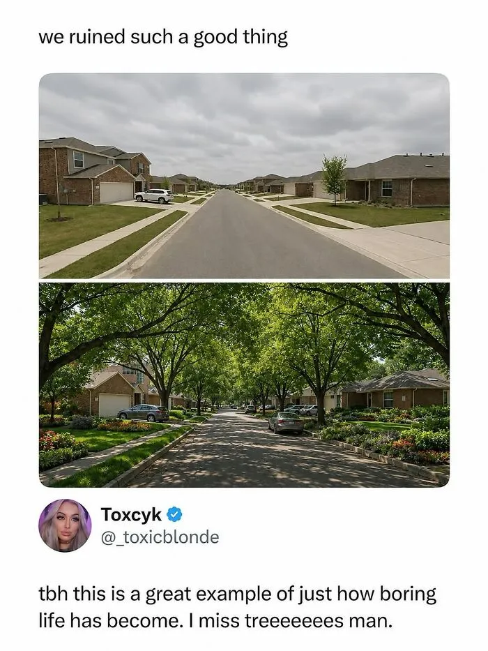 Comparison meme of boring and tree-lined streets missing trees funny meme
