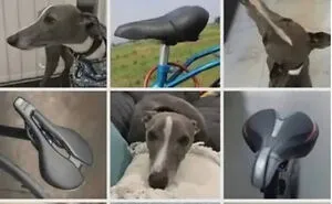 67 Top Internet Posts That Show Why Humor Is The Best Escape From Daily Chaos