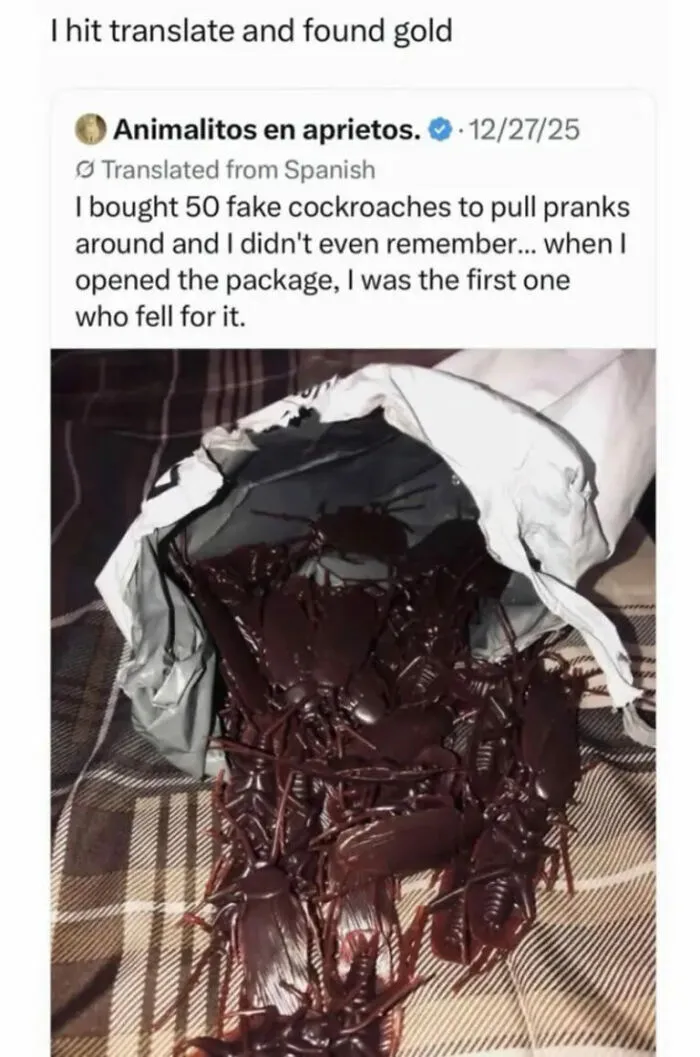 67 Hilarious And Unpredictable Internet Gems To Make Your Daily Scrolling Time Worth It 
