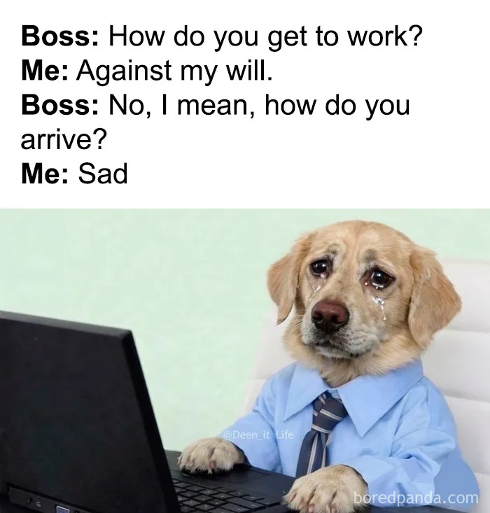 73 Funny And Chaotic Memes For When Life Gets Too Serious
