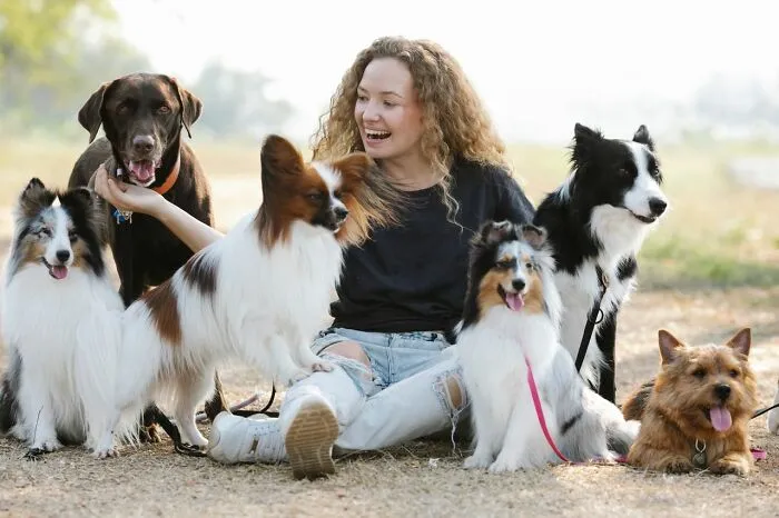 A happy woman surrounded by many dogs, showing how a person might choose to rehomed him instead