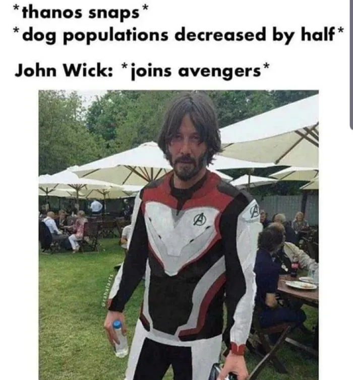 John Wick as an Avenger meme referencing Thanos snap and dog populations.
