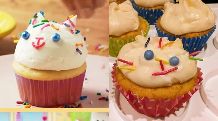 Cat cupcake with sprinkles versus poorly decorated failed cupcakes
